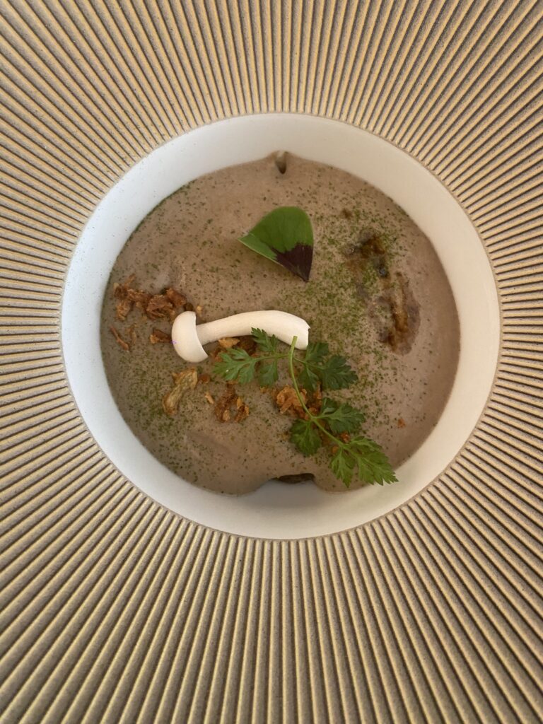 Cícero